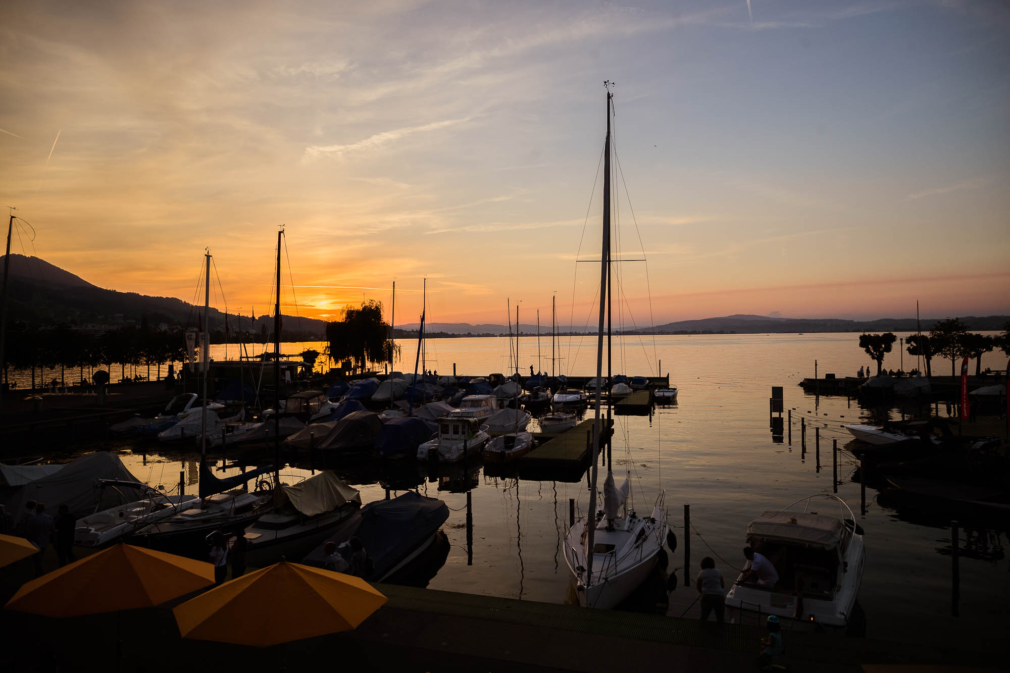 Export x3 1DX24709 Hochzeit 2020 Muriel & Trevor